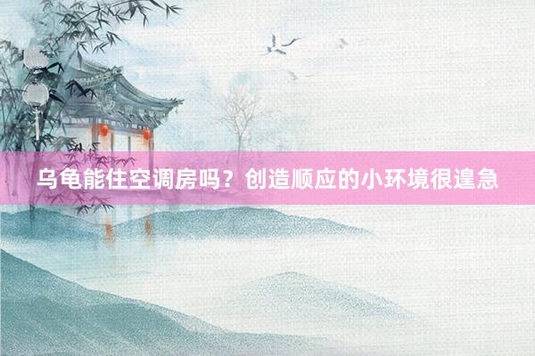 乌龟能住空调房吗？创造顺应的小环境很遑急